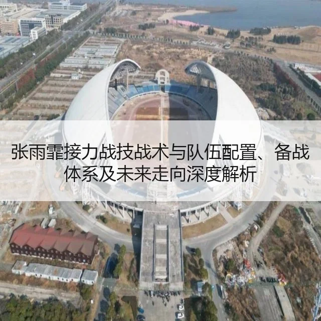 张雨霏接力战技战术与队伍配置、备战体系及未来走向深度解析